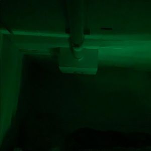 Meet your Posher, Devin